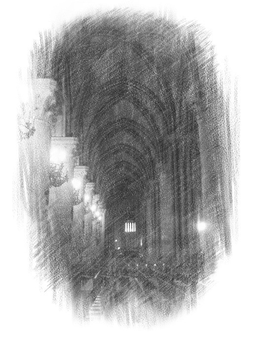 Notre-Dame de Paris, la nef latéral