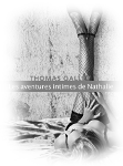 Acheter la version numérique de "Les aventures intimes de Nathalie" (version 2014)